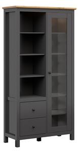 Zondo.hr Vitrina Hesen REG1W2S/20/11 (s LED rasvjetom) (grafit + hrast artisan). Akcija -10%. 1062527