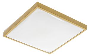 LED PLAFONJERA ALTAR 24W ZLATNA IP44 4000K
