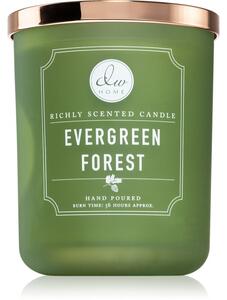 DW Home Signature Evergreen Forest mirisna svijeća 445 g