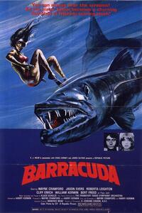 Ilustracija Barracuda