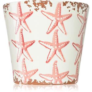 Wax Design Starfish Seabed mirisna svijeća 14x12,5 cm
