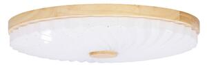 Bijela LED stropna svjetiljka 38x38 cm Lemo – Candellux Lighting
