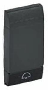 TIPKA 1M S INDIKATOROM ZVONO ANTHRACITE L4915DN#