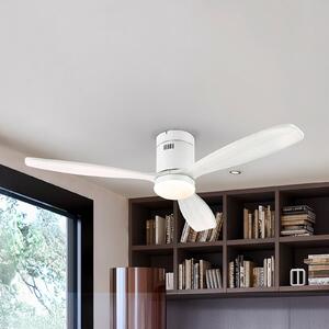 Schuller Valencia Siroco LED stropni ventilator, bijeli, Ø 132 cm, tihi, CCT, prigušiva, Bijela, Dnevni boravak/blagovaonica, Drvo