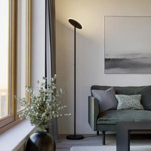 EGLO PIAGNOLO LED podna lampa, crna, visina 168 cm, CCT, prigušiva, Crno, Dnevni boravak/blagovaonica, Metal