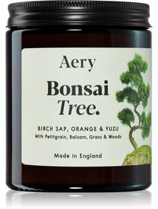 Aery Botanical Bonsai Tree mirisna svijeća 140 g