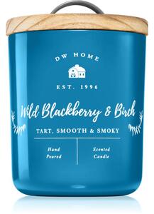 DW Home Farmhouse Wild Blackberry & Birch mirisna svijeća 255 g