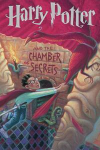 Ilustracija Harry Potter - Chamber of Secrets book cover