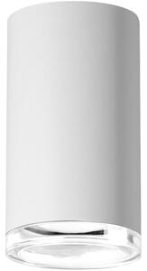 Reflektorska svjetiljka za kupaonicu TURYN 1xGU10/10W/230V IP44 bijela