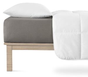 Tamno siva plahta s gumom od jerseya 140x200 cm Boxspring – Andrea Simone