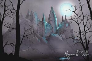 Ilustracija Harry Potter - Nocturnal Hogwarts Castlle