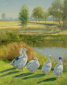 Timothy Easton - Reprodukcija umjetnosti Gooseguard, (30 x 40 cm)