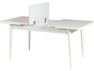 Woody Fashion Set stola i stolica (5 komada), Vina 0701 - 4 - White, Grey