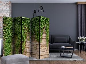 Paravan - Ivy wall II