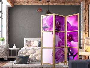 Japanski paravan - Violet Orchids I