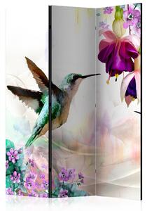 Paravan - Hummingbirds and Flowers