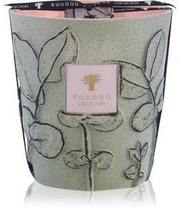 Baobab Collection Folia Maquis mirisna svijeća 16 cm