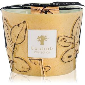 Baobab Collection Folia Garrigue mirisna svijeća 10 cm