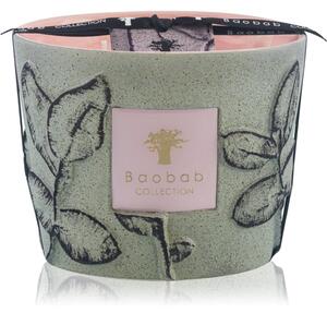 Baobab Collection Folia Maquis mirisna svijeća 10 cm
