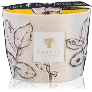 Baobab Collection Folia Calanque mirisna svijeća 10 cm