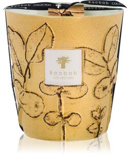 Baobab Collection Folia Garrigue mirisna svijeća 16 cm