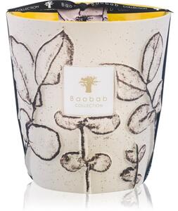 Baobab Collection Folia Calanque mirisna svijeća 16 cm