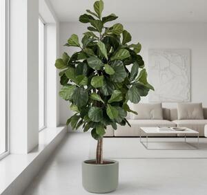 Umjetni Ficus Lyrata 180 cm Home - 151 - 180 cm