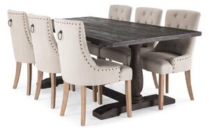 Blagovaonski set Scandinavian Choice 590, 77x100x200cm, Drvo, Brijest
