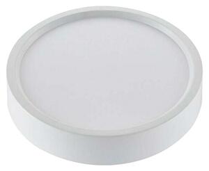 Green Tech LED panel (24 W, Ø x V: 28,5 x 4 cm)