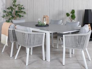 Set stola i stolica Dallas 2991