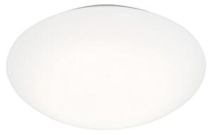 Ferotehna Okrugla stropna LED svjetiljka (12 W, Ø x V: 26 x 6,5 cm, Bijela, IP20)