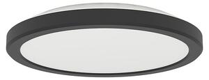 Eglo LED stropna svjetiljka Testara (11,2 W, Ø x V: 21,2 x 3 cm, Crna, Topla bijela)