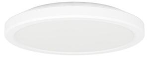 Eglo LED stropna svjetiljka Testara (11,2 W, Ø x V: 21,2 x 3 cm, Bijela, Topla bijela)