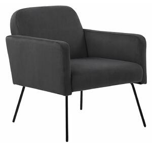 Fotelja Berwyn 1234, Siva, 77x72x76cm, Eukaliptus