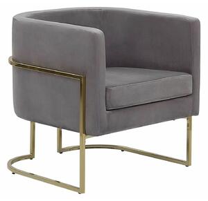 Fotelja Berwyn 1231, Siva, 71x72x70cm