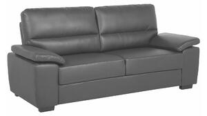 Sofa Berwyn 1327, Crna, 90x195x74cm, Eukaliptus