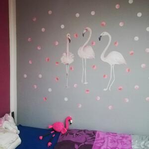 Zidna naljepnica - ružičasti plamenac (flamingo) s kružnicama