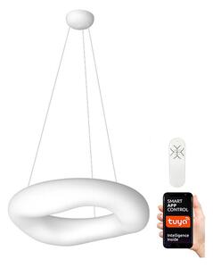 Immax NEO 07101L - LED Prigušivi luster na sajli PULPO LED/60W/230V 91 cm + DU