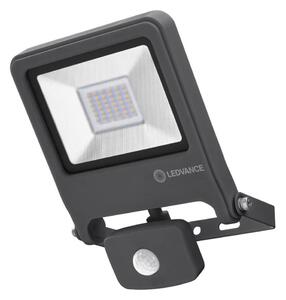 Ledvance - LED Reflektor ENDURA sa senzorom LED/10W/230V IP44