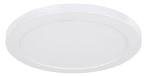Globo 12379-24W - LED Stropna svjetiljka LASSE LED/24W/230V