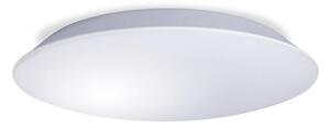 LED Stropna svjetiljka AVESTA LED/12W/230V IP54