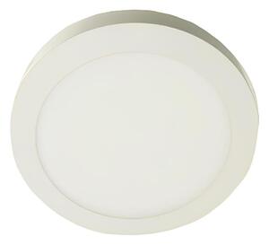 LED Stropna svjetiljka GERRIT LED/12W/230V 3000K bijela