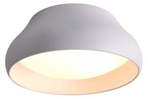 Klausen 100011 - LED Stropna svjetiljka PADDY LED/24W/230V bijela