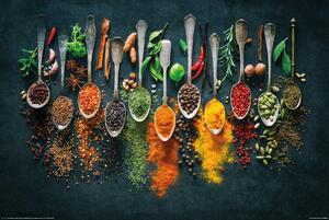 Poster Spices, (91.5 x 61 cm)