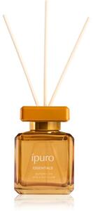 Ípuro Essentials Pumpkin Pie aroma difuzer s punjenjem 100 ml