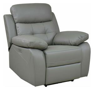 Podesiva fotelja Denton 1324, Svijetlo siva, 100x97x92cm