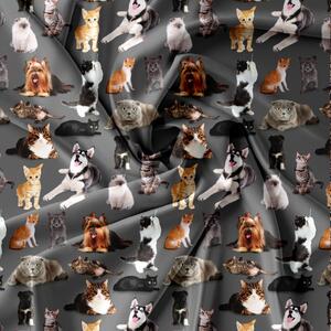 Posteljina od mikrovlakna DOGS AND CATS tamno siva Dimenzije posteljine: 70 x 80 cm | 140 x 200 cm