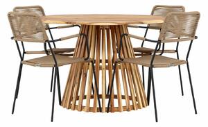 Set stola i stolica Dallas 4631, Bagrem