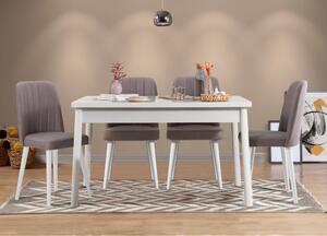 Woody Fashion Set stolova i stolica (5 komada), Bijela boja Sivo, Costa 0701 - 1 B