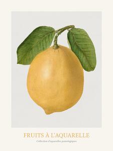 Reprodukcija Lemon (Watercolour Kitchen Fruit)